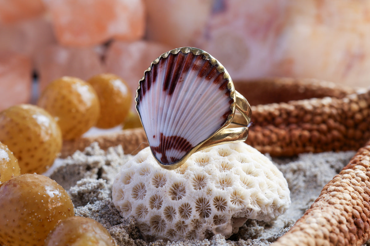 Brass Ring - Ocean Lover - Fan Shell - Q+ / 8.75