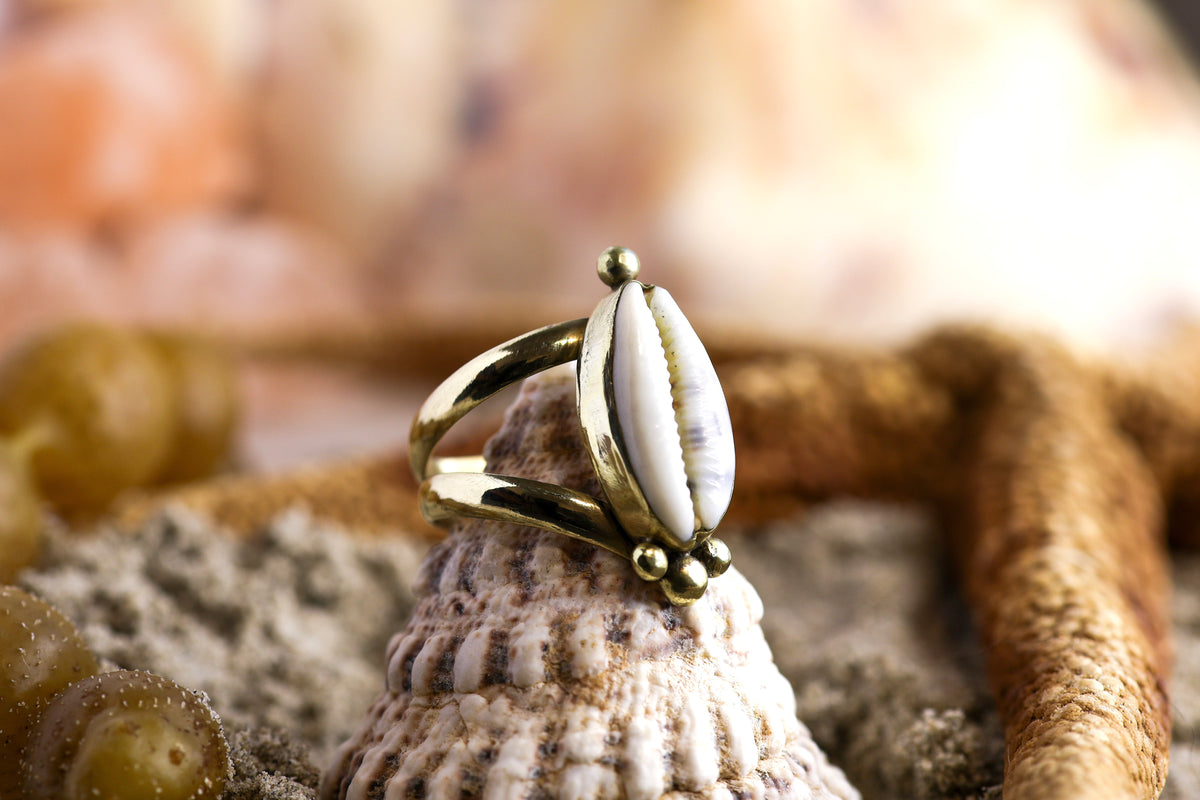 Brass Ring - Ocean Lover - Chunky - Tiger Cowrie Shell - M / 6.5