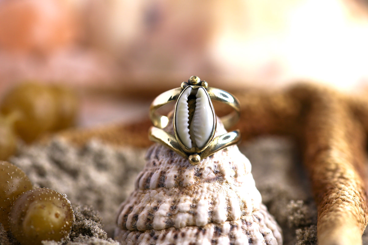 Brass Ring - Ocean Lover - Chunky - Cowrie Shell - Q / 8.5