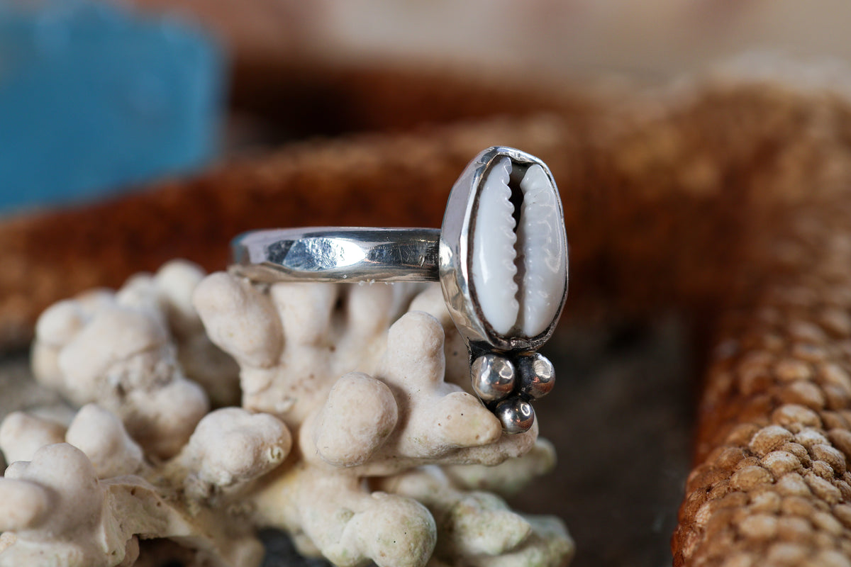 Sterling Silver 925 Ring Chunky - Ocean Dreamer - Cowrie Shell - O / 7.5