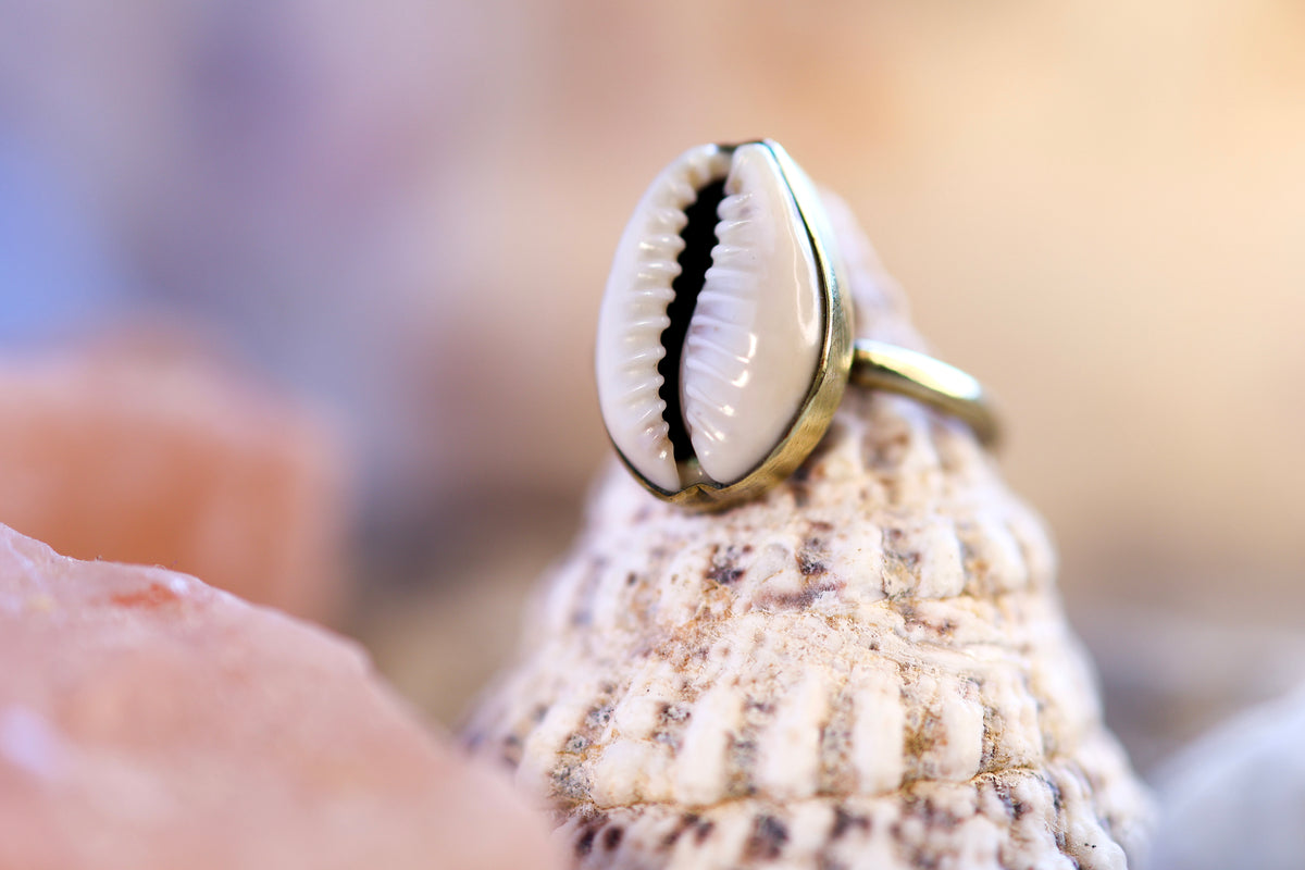 Brass Ring – Earthly Treasures - Big Cowrie Shell - P / 8