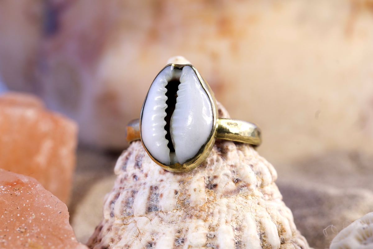 Brass Ring – Earthly Treasures - Small Cowrie Shell - Q / 8.5