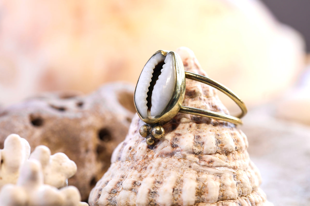 Brass Ring – Bohemian Soul - Cowrie Shell - P / 8