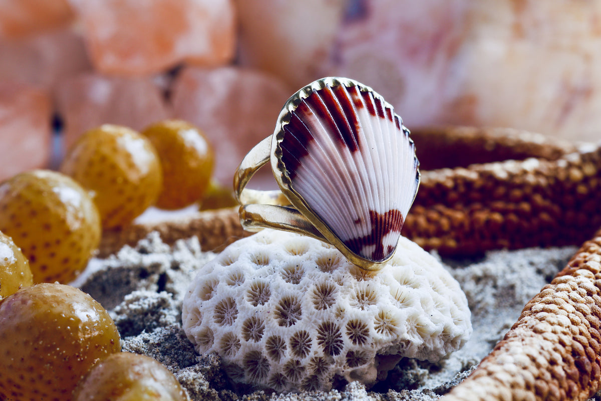 Brass Ring - Ocean Lover -  Fan Shell - Q+ / 8.75
