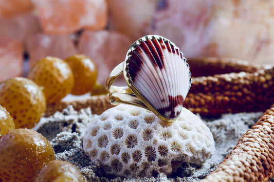 Brass Ring - Ocean Lover -  Fan Shell - Q+ / 8.75