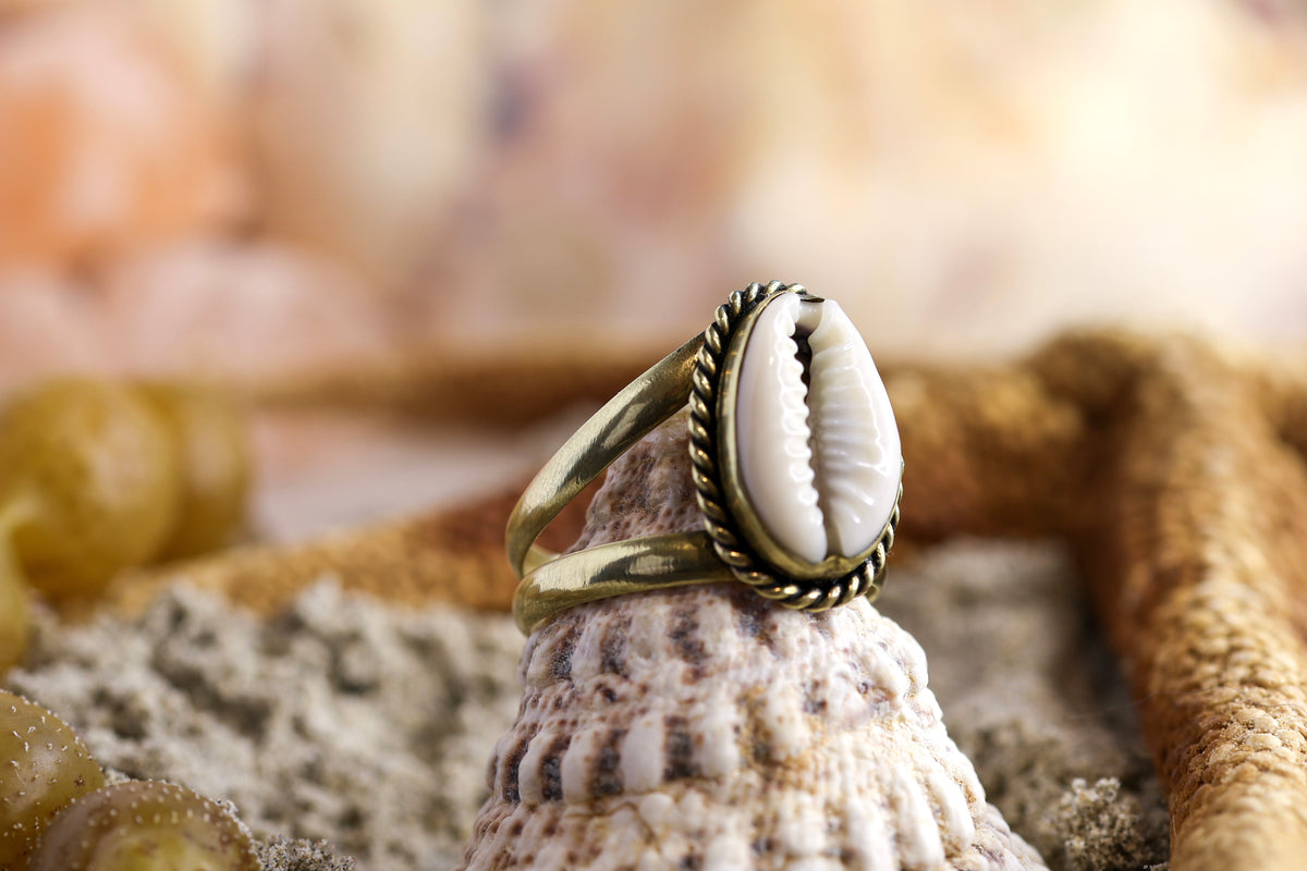 Brass Ring – Ocean Lover - Twisted Cowrie Shell – T+ / 10.25