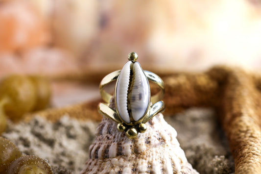 Brass Ring - Ocean Lover - Chunky - Tiger Cowrie Shell - M / 6.5