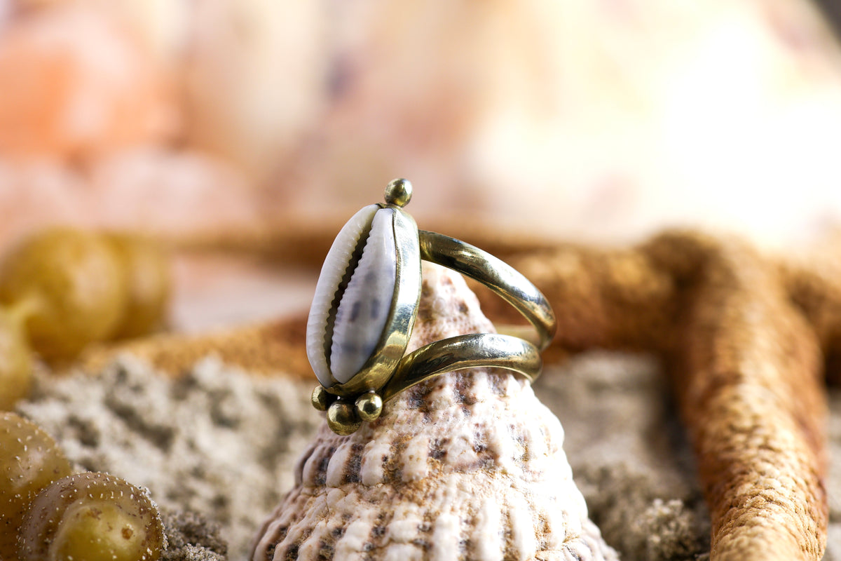 Brass Ring - Ocean Lover - Chunky - Tiger Cowrie Shell - M / 6.5