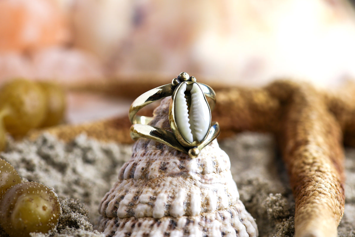 Brass Ring - Ocean Lover - Chunky - Cowrie Shell - Q / 8.5