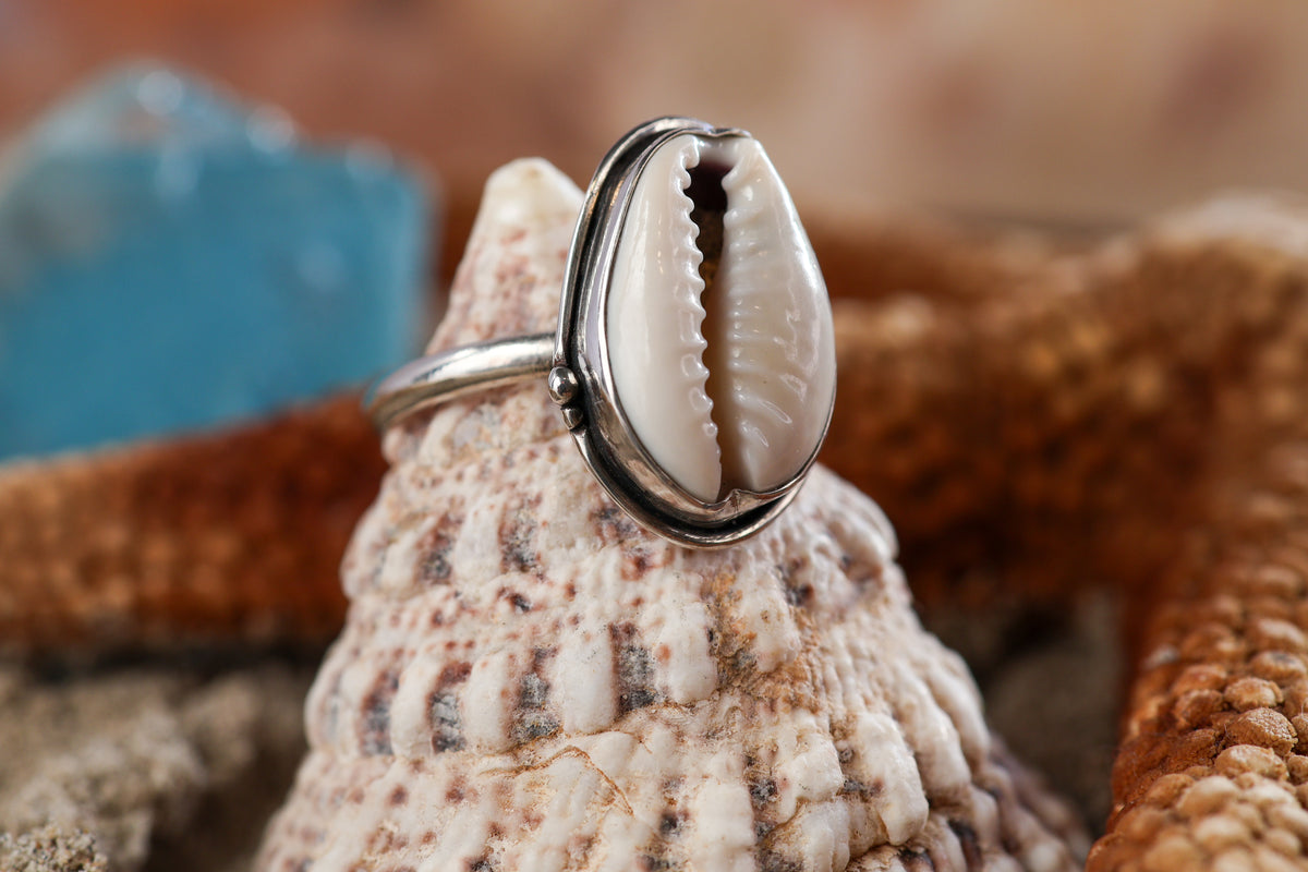 Sterling Silver 925 Ring - Timeless Treasures - Cowrie Shell - N+ / 7.25