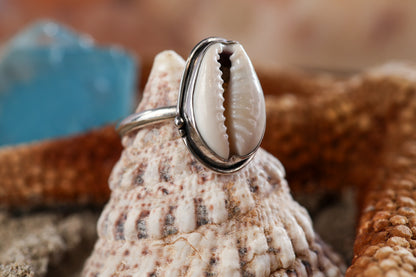 Sterling Silver 925 Ring - Timeless Treasures - Cowrie Shell - N+ / 7.25