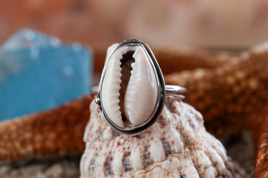 Sterling Silver 925 Ring - Timeless Treasures - Cowrie Shell - N+ / 7.25
