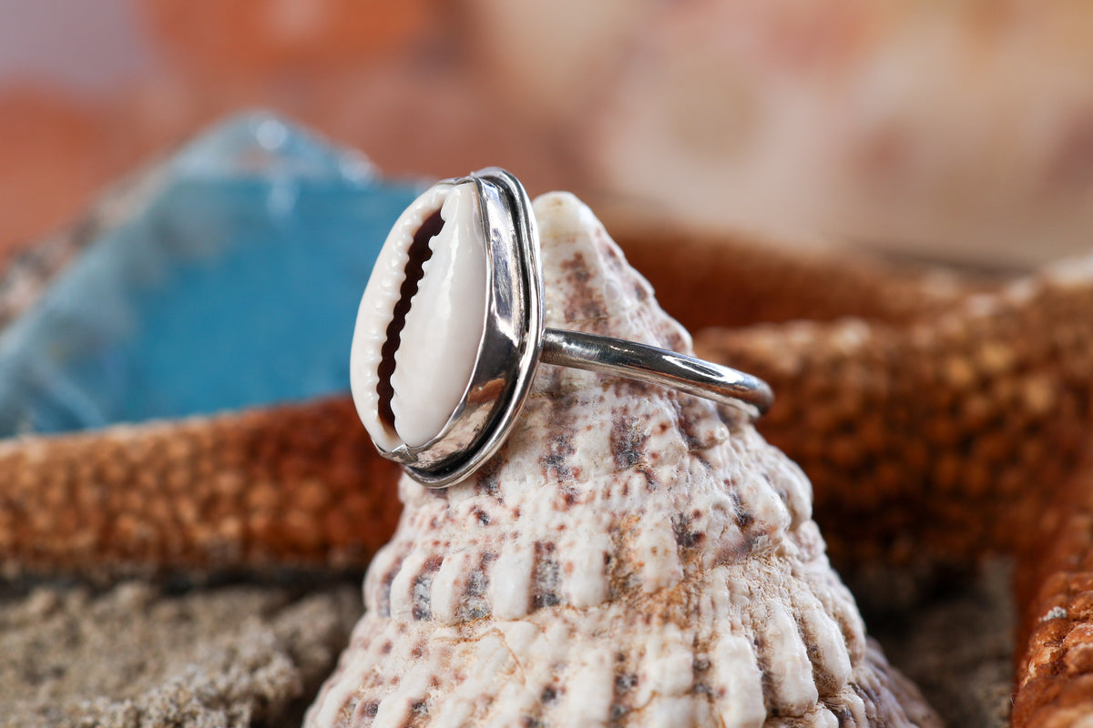 Sterling Silver 925 Ring - Timeless Treasures - Cowrie Shell - N+ / 7.25
