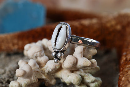 Sterling Silver 925 Ring Chunky - Ocean Dreamer - Cowrie Shell - O / 7.5