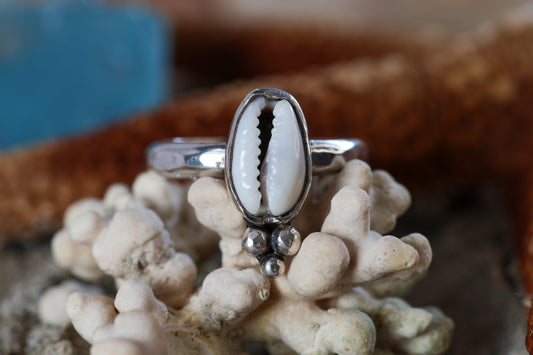 Sterling Silver 925 Ring Chunky - Ocean Dreamer - Cowrie Shell - O / 7.5