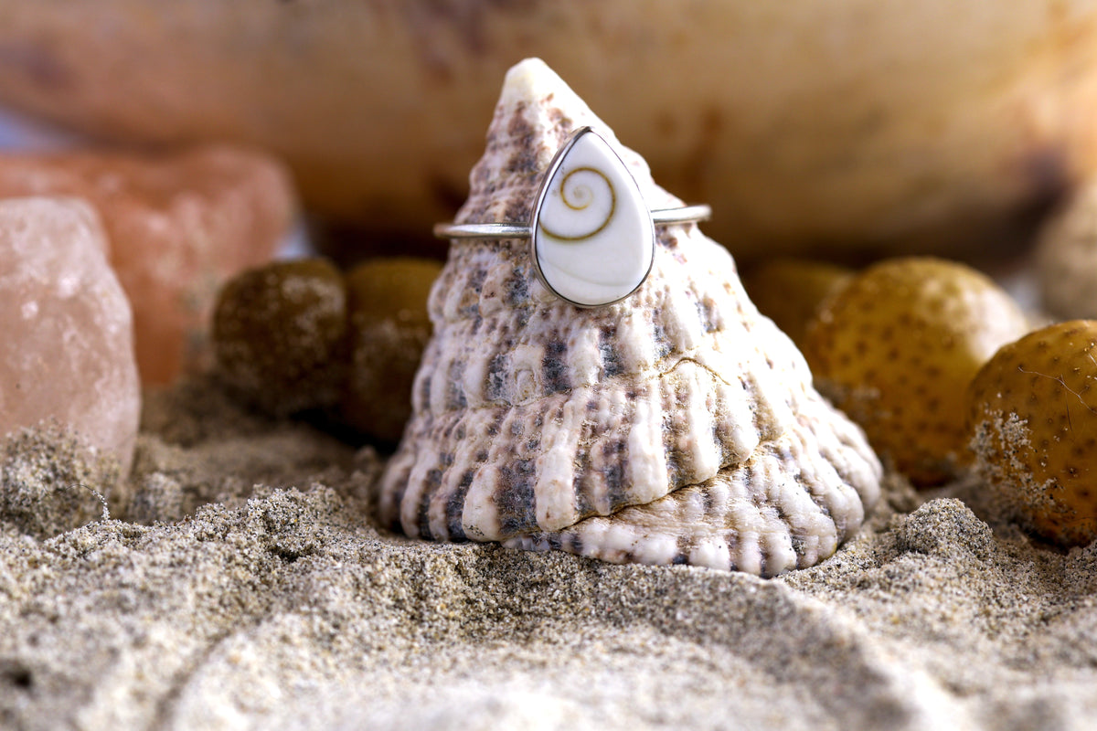 Sterling Silver 925 Ring -Simple Magic - Shiva Shell - Q+ / 8.75
