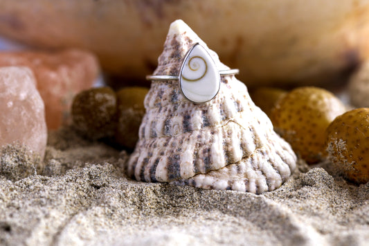 Sterling Silver 925 Ring -Simple Magic - Shiva Shell - Q+ / 8.75