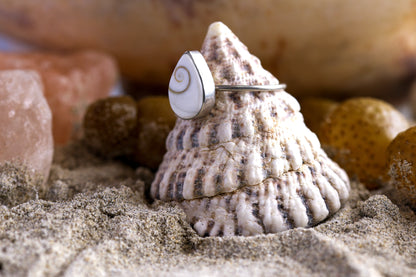 Sterling Silver 925 Ring -Simple Magic - Shiva Shell - Q+ / 8.75