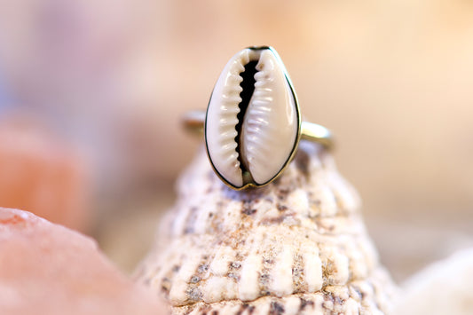 Brass Ring – Earthly Treasures - Big Cowrie Shell - P / 8