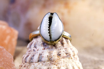 Brass Ring – Earthly Treasures - Small Cowrie Shell - Q / 8.5