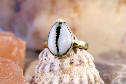 Brass Ring – Earthly Treasures - Small Cowrie Shell - Q / 8.5