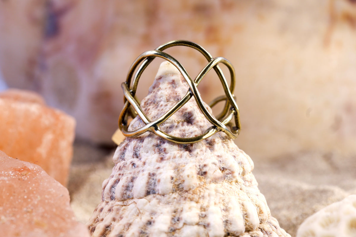 Brass Ring – Earthly Treasures - Wild Wire - N / 7