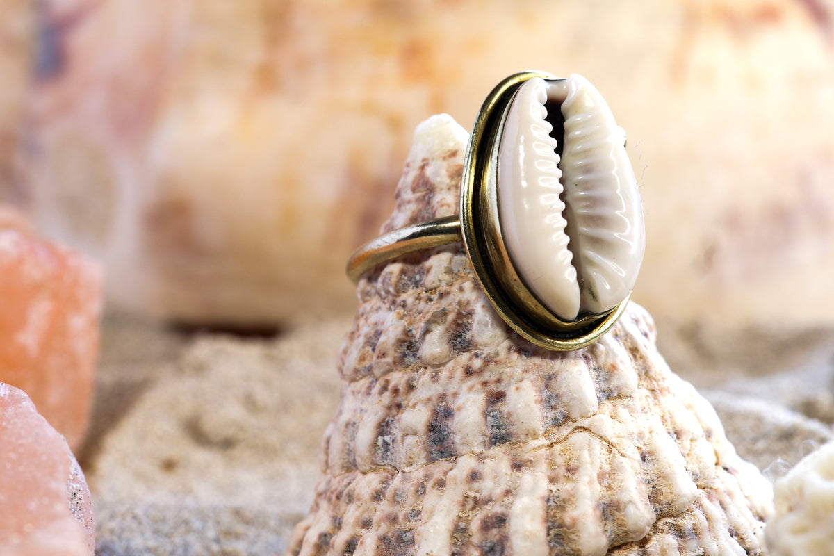 Brass Ring – Bohemian Soul - Cowrie Shell - P+ / 8.25