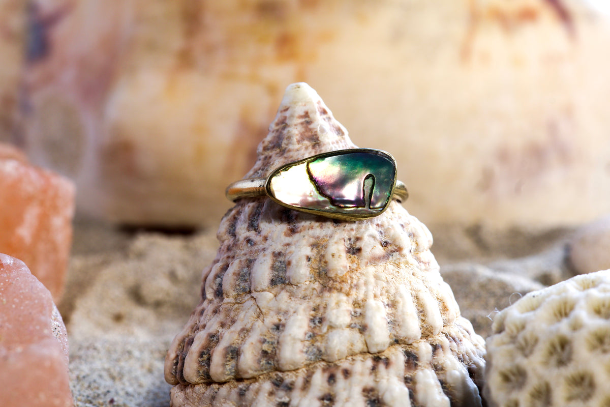 Brass Ring – Earthly Treasures -  Pāua Shell - P+ / 8.25