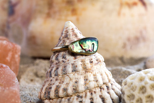 Brass Ring – Earthly Treasures -  Pāua Shell - P+ / 8.25