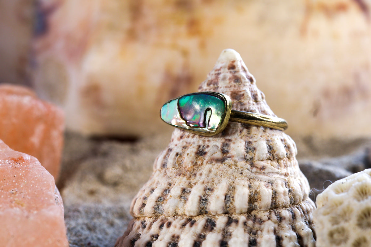 Brass Ring – Earthly Treasures -  Pāua Shell - P+ / 8.25