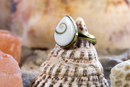 Brass Ring – Earthly Treasures - Shiva Shell - P+ / 8.25