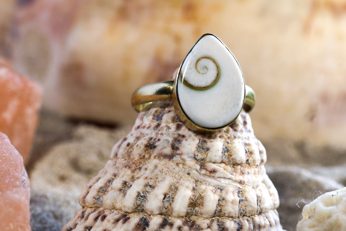 Brass Ring – Earthly Treasures - Shiva Shell - P+ / 8.25