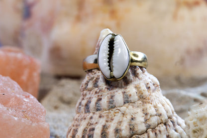 Brass Ring – Earthly Treasures - Small Cowrie Shell - P / 8