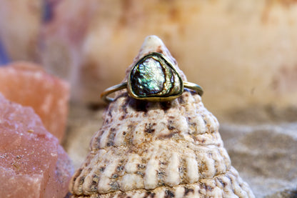 Brass Ring - Earthly Treasures - Pāua Shell - P+ / 8.25