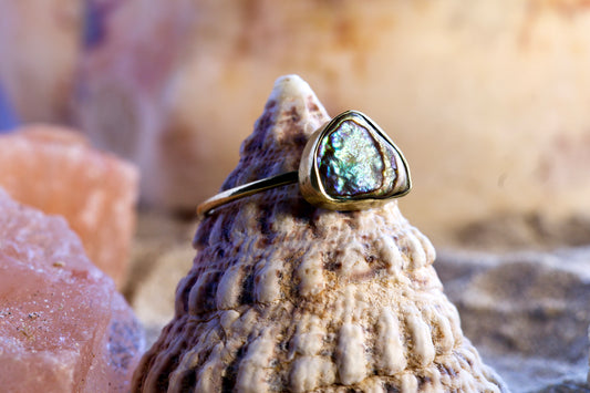 Brass Ring - Earthly Treasures - Pāua Shell - P+ / 8.25