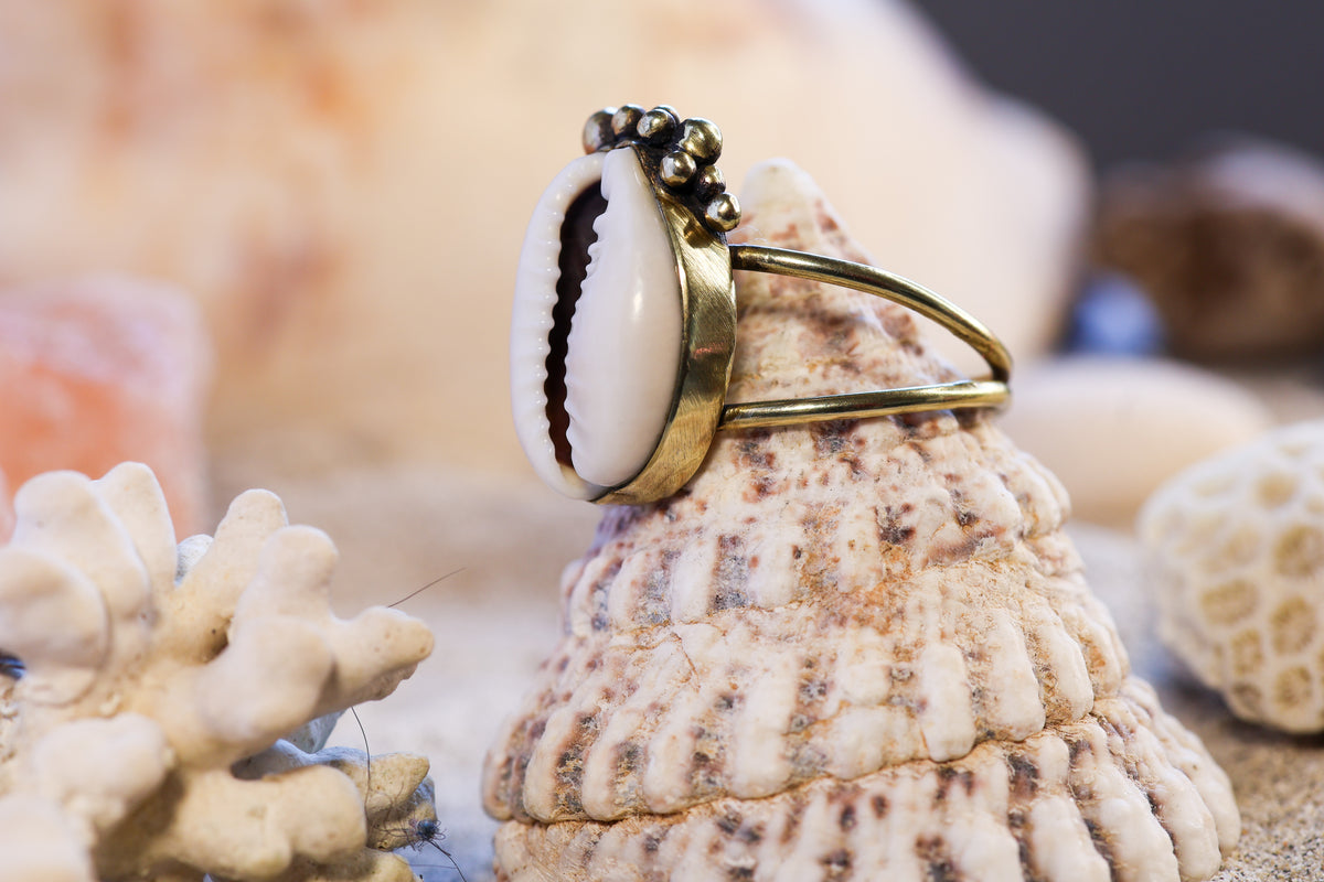 Brass Ring – Bohemian Soul - Cowrie Shell - Bubble - P / 8