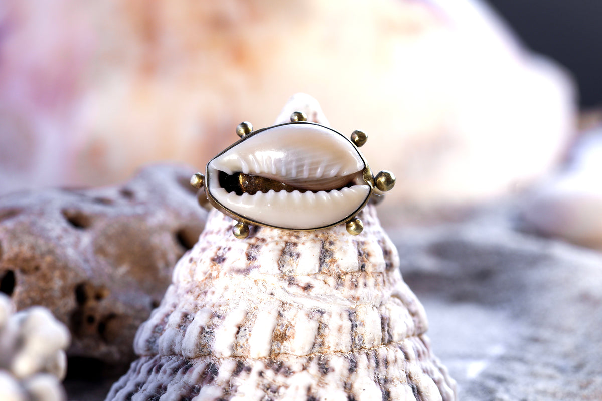 Brass Ring – Bohemian Soul - Spiky Cowrie Shell - Q / 8.5