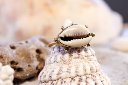 Brass Ring – Bohemian Soul - Spiky Cowrie Shell - Q / 8.5