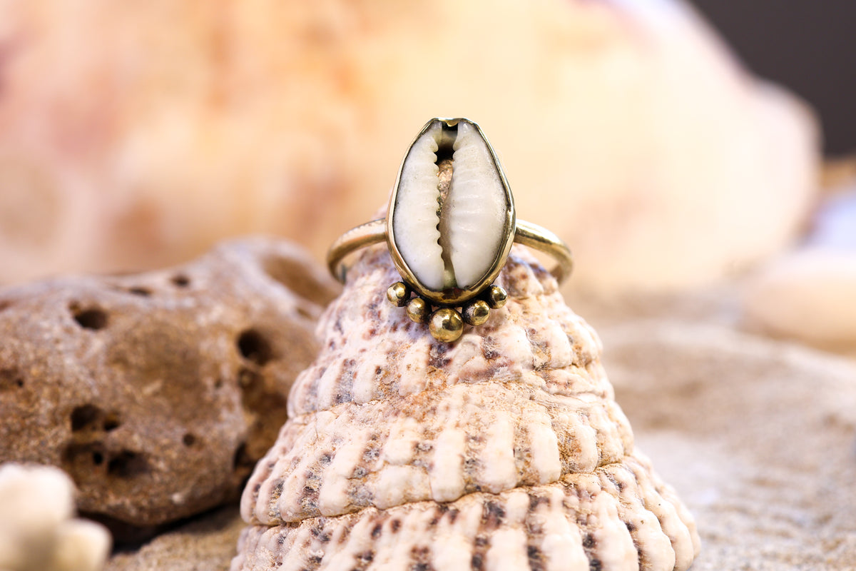Brass Ring – Bohemian Soul - Bubble Cowrie Shell - Q / 8.5