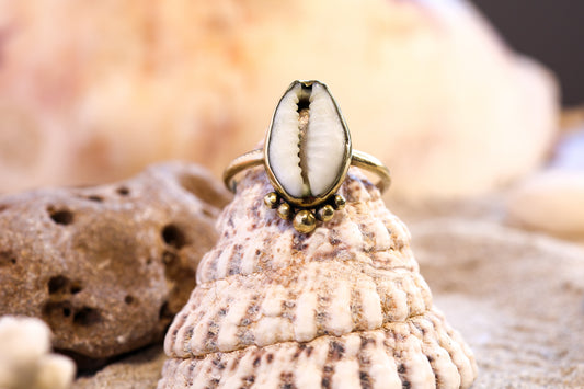 Brass Ring – Bohemian Soul - Bubble Cowrie Shell - Q / 8.5