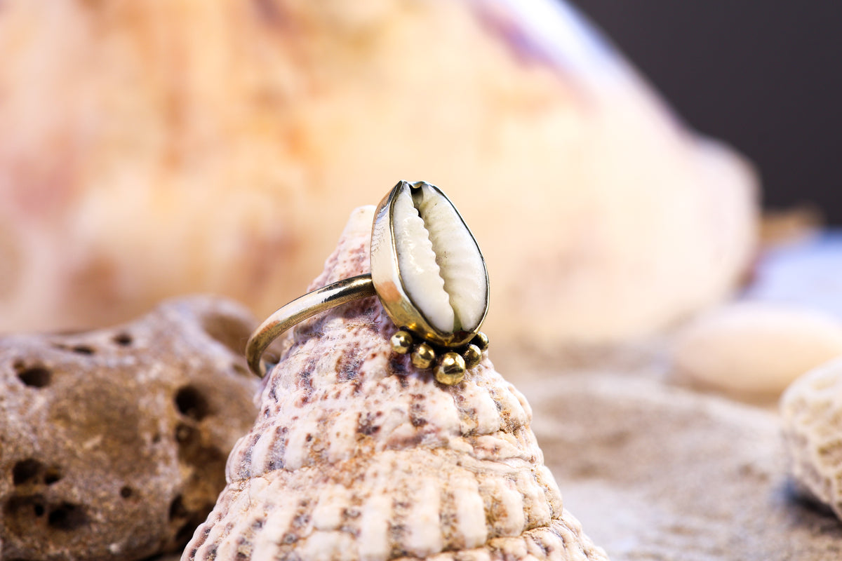 Brass Ring – Bohemian Soul - Bubble Cowrie Shell - Q / 8.5