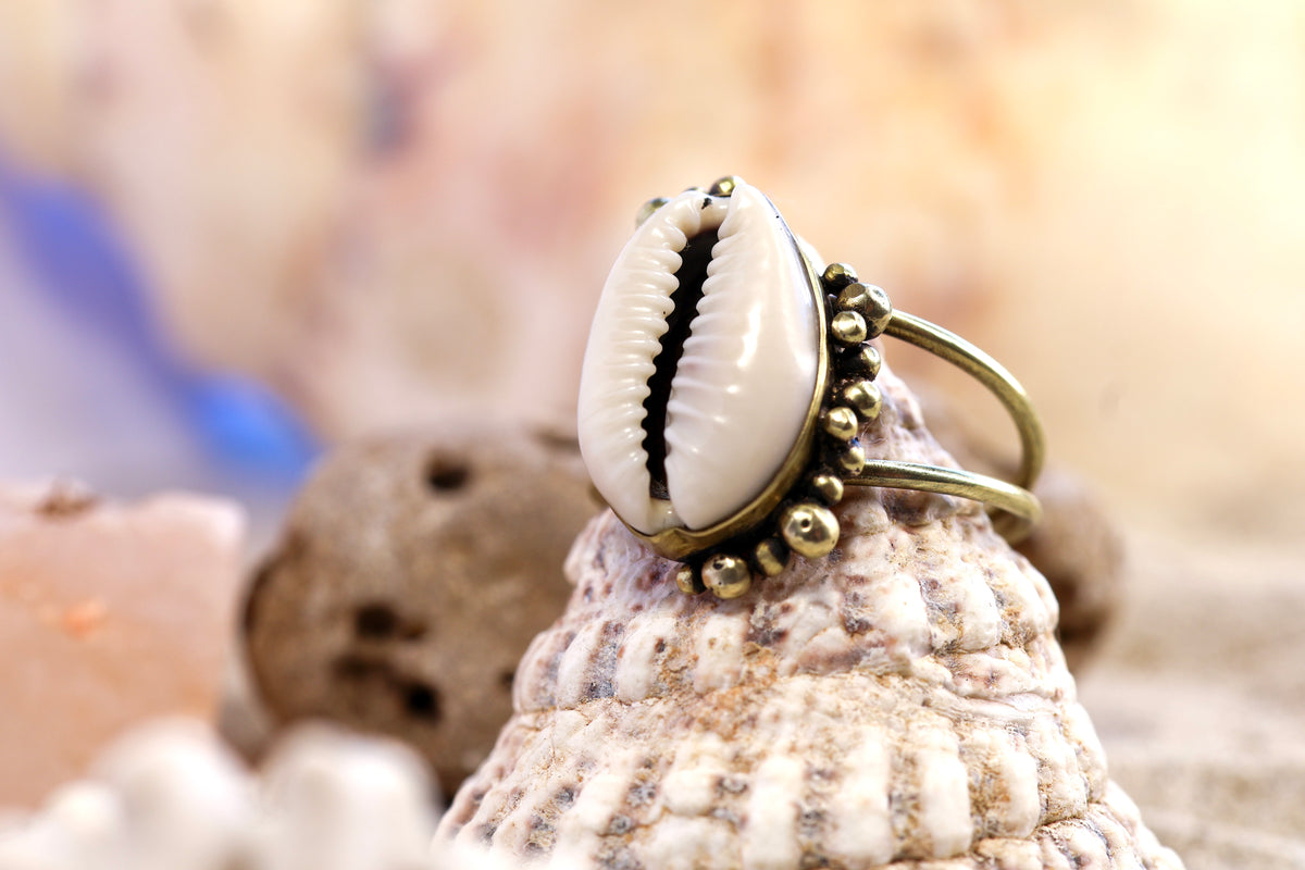 Brass Ring – Bohemian Soul - Cowrie Shell - Chunky Bubble  - P / 8