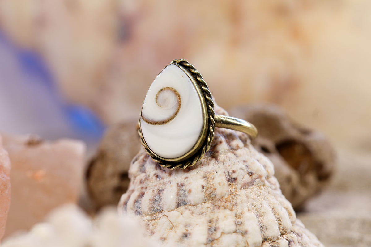 Brass Ring – Earthly Treasures - Shiva Shell - Q+ / 8.75