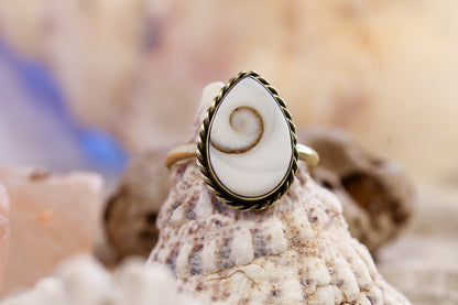 Brass Ring – Earthly Treasures - Shiva Shell - Q+ / 8.75