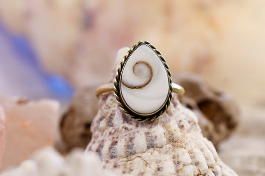 Brass Ring – Earthly Treasures - Shiva Shell - Q+ / 8.75