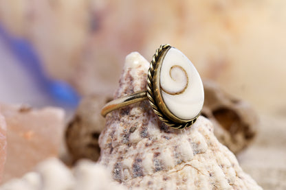 Brass Ring – Earthly Treasures - Shiva Shell - Q+ / 8.75