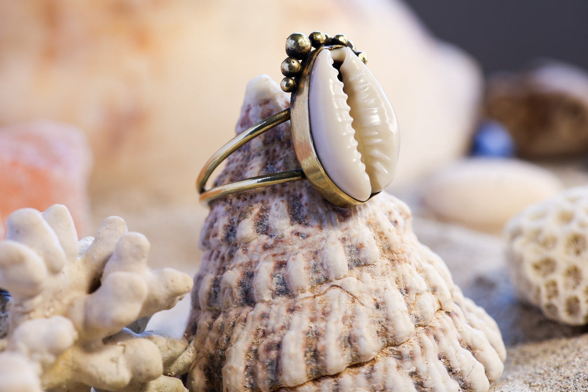 Brass Ring – Bohemian Soul - Cowrie Shell - Bubble - P / 8