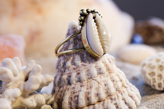 Brass Ring – Bohemian Soul - Cowrie Shell - Bubble - P / 8